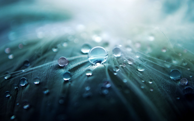 Leaf water droplets blue sky #2 free wallpaper - medium preview image