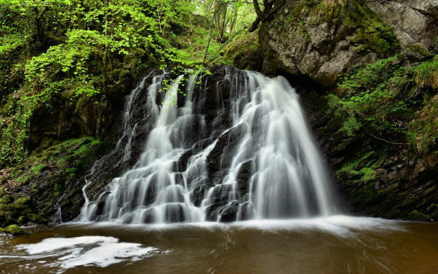 Waterfall forest river trees nature free wallpaper - medium preview image