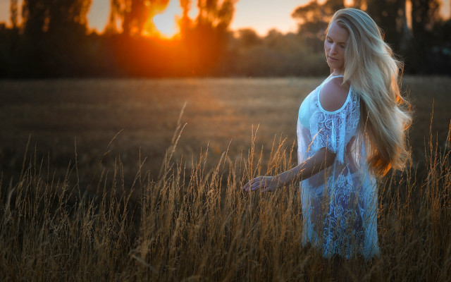 Woman field sunset wind orange free wallpaper - medium preview image