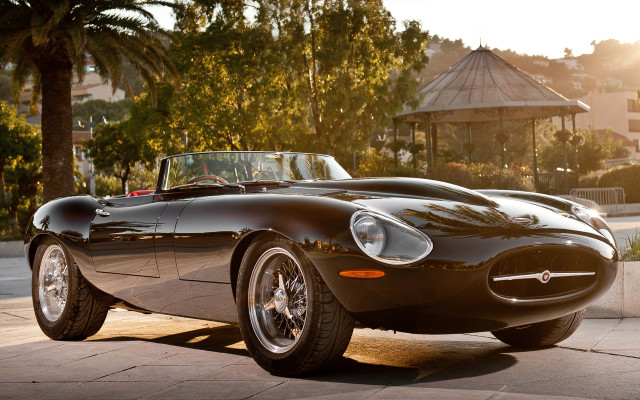 Black sports car palm tree free wallpaper - medium preview image