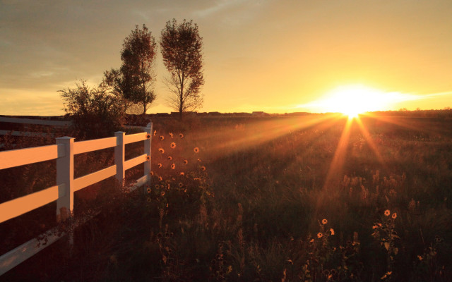 Sunset field white fence trees free wallpaper - medium preview image
