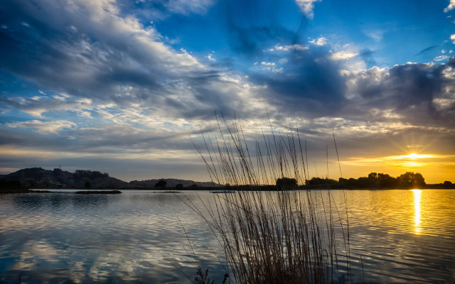 Lake sunset clouds grass matte free wallpaper - medium preview image
