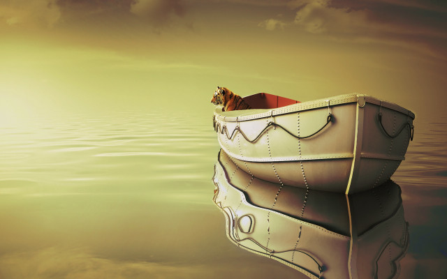 Cat boat floating water sky #2 free wallpaper - medium preview image