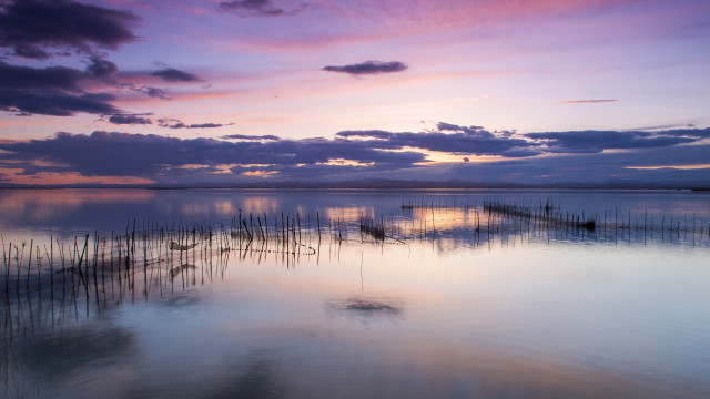 Water plants boats sky clouds free wallpaper - medium preview image