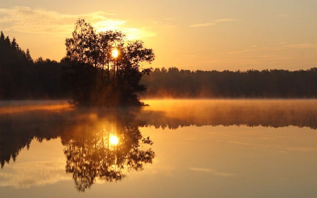 Lake tree sunrise fog city free wallpaper - medium preview image