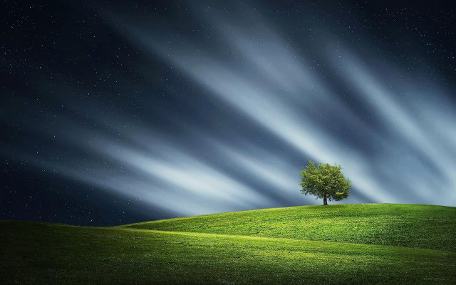 Lone tree grassy hill night free wallpaper - medium preview image