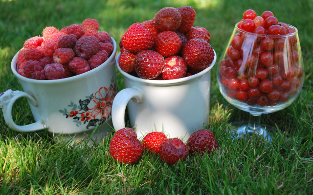 Strawberry cups grass bowl berries free wallpaper - medium preview image
