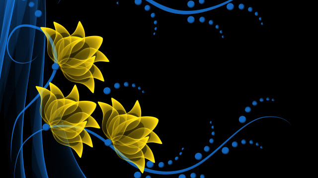 Black background yellow flowers blue free wallpaper - medium preview image