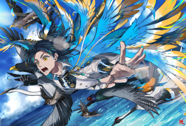 Woman flying bird hand bird free wallpaper - medium preview image