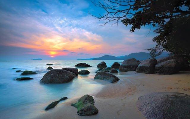 Beach rocks water sunset tree free wallpaper - medium preview image