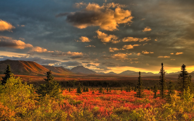 Sunset mountains forest cityscape clouds free wallpaper - medium preview image