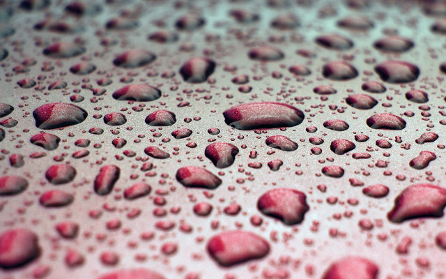 Red water drops macro photography free wallpaper - medium preview image