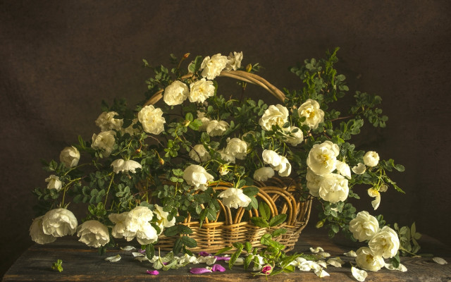 Basket flowers table dark roses free wallpaper - medium preview image