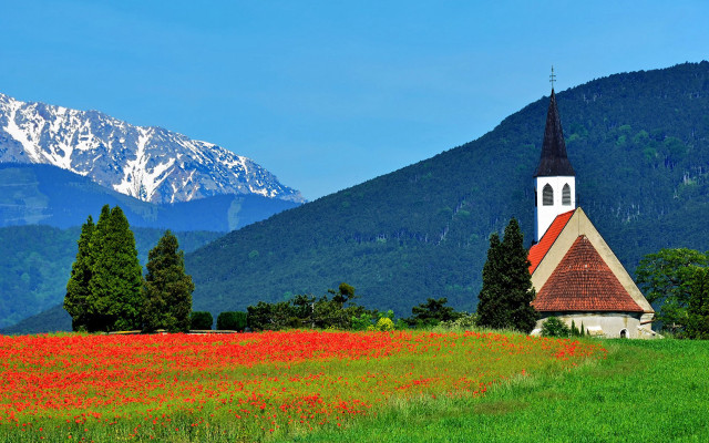 Church flowers mountain blue sky free wallpaper - medium preview image