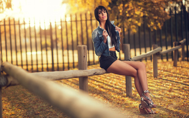 Woman fence autumn highheels jacket free wallpaper - medium preview image