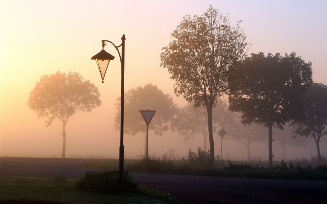 Foggy park streetlights trees sunset free wallpaper - medium preview image