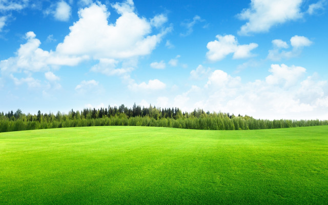 Green field trees blue sky #3 free wallpaper - medium preview image