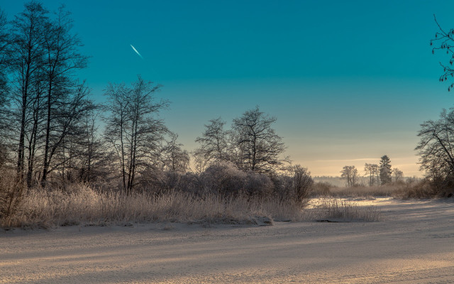 Snowy road trees plane clouds free wallpaper - medium preview image