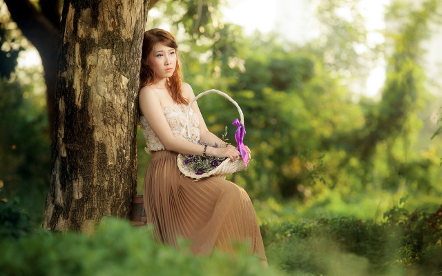 Woman dress basket forest portrait free wallpaper - medium preview image
