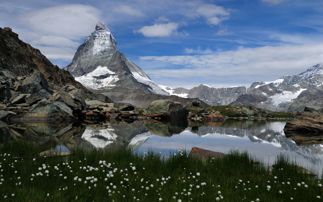 Mountain lake wildflowers snow capped free wallpaper - medium preview image