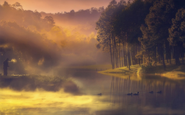 Lake ducks misty sunset australian free wallpaper - medium preview image