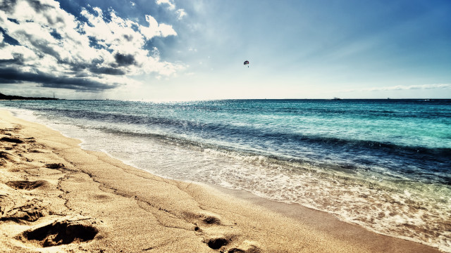 Beach bird flying water sandy free wallpaper - medium preview image