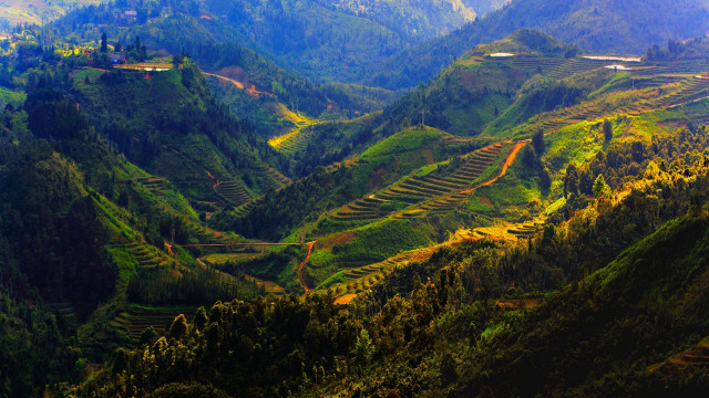Valley trees train autumn landscape free wallpaper - medium preview image