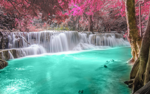 Waterfall pool trees pink flowers free wallpaper - medium preview image