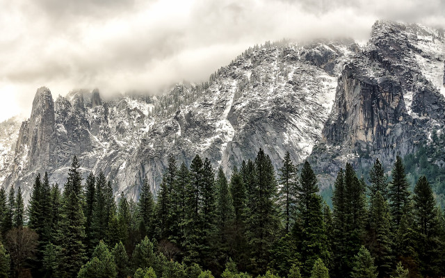 Mountain forest clouds nature baretree free wallpaper - medium preview image
