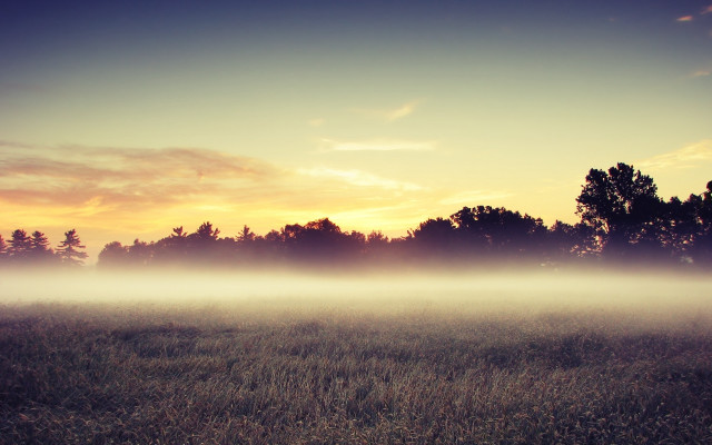 Foggy sky trees cityscape dusk free wallpaper - medium preview image