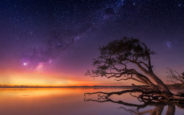Tree water night stars reflection free wallpaper - medium preview image