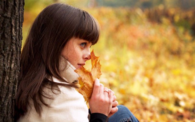 Woman sitting tree leaf autumn free wallpaper - medium preview image