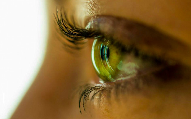 Eye green iris macro reflection free wallpaper - medium preview image