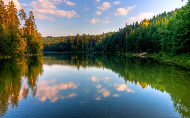 Lake forest clouds trees sky free wallpaper - medium preview image