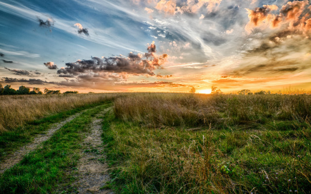Dirt path grassy field sunset free wallpaper - medium preview image