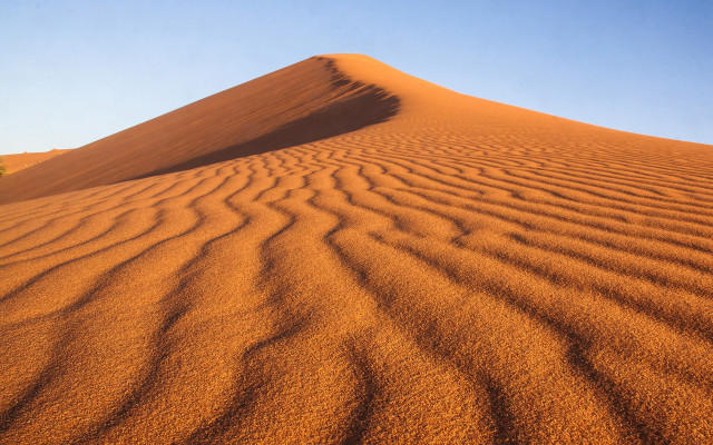 Sand dune tree distance blue free wallpaper - medium preview image
