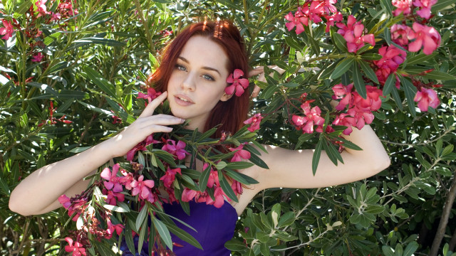 Purple dress woman bush pink free wallpaper - medium preview image