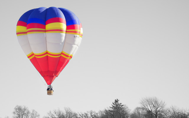 Large balloon gray sky trees free wallpaper - medium preview image