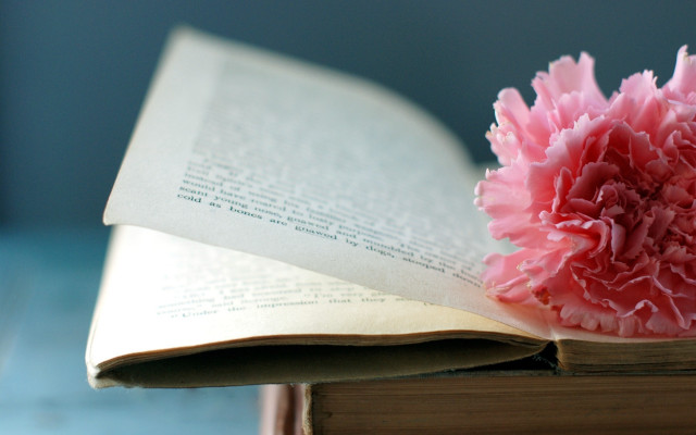 Pink flower open book table free wallpaper - medium preview image