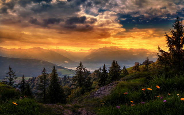 Sunset mountain range forest flowers free wallpaper - medium preview image