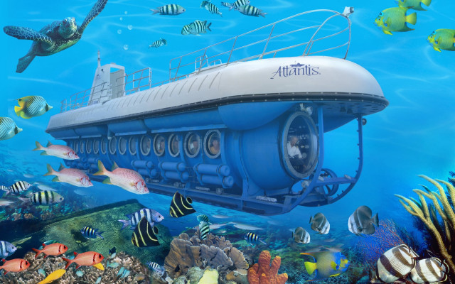 Submarine fish corals diver underwater free wallpaper - medium preview image
