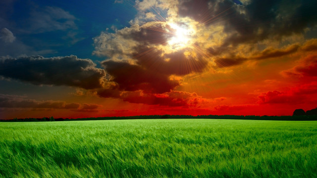 Green grass cloudy sky sunshine free wallpaper - medium preview image