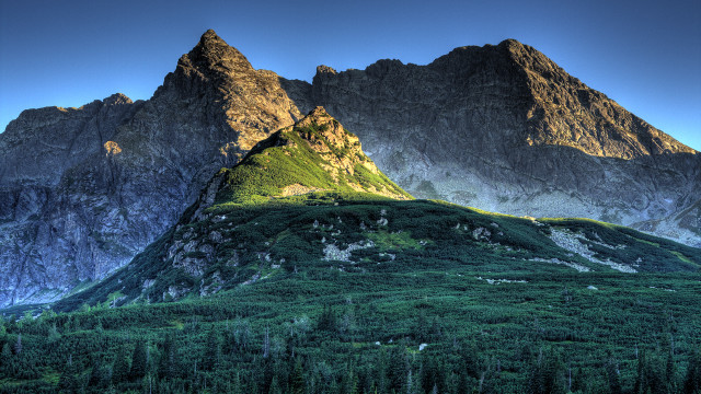 Mountain grassy field forest blue free wallpaper - medium preview image