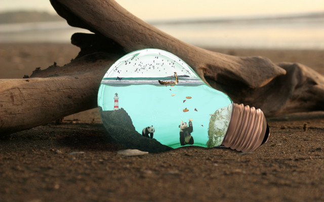 Light bulb beach tree water free wallpaper - medium preview image