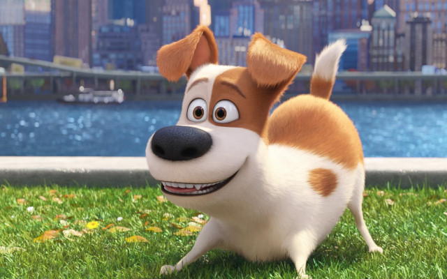 Cartoon dog smile grass river free wallpaper - medium preview image