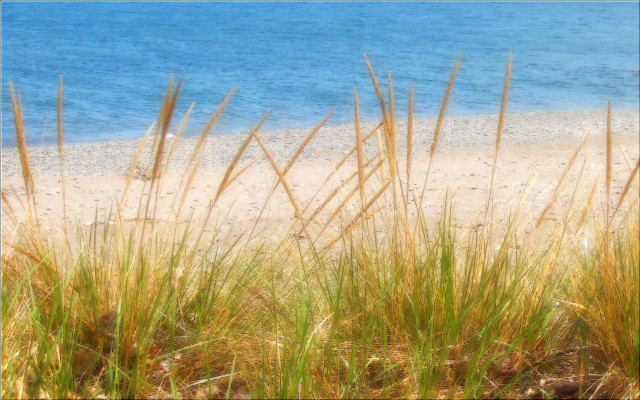 Beach grass water sky bridge free wallpaper - medium preview image