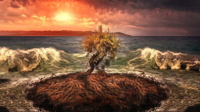 Tree rock ocean waves sunset free wallpaper - medium preview image