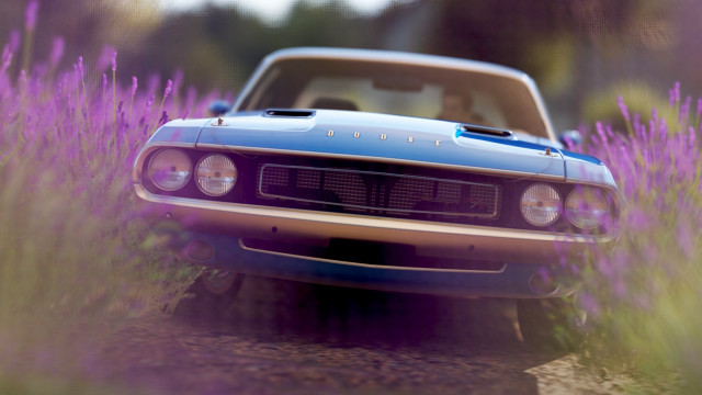 Car lavender field tiltshift photorealism free wallpaper - medium preview image
