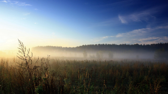 Foggy dawn forest lake mountains #2 free wallpaper - medium preview image