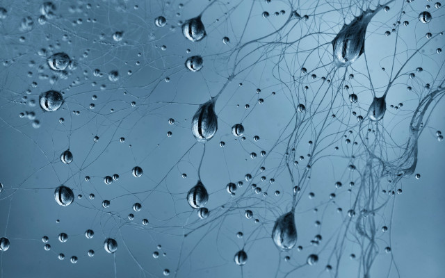 Water droplets window blue background free wallpaper - medium preview image